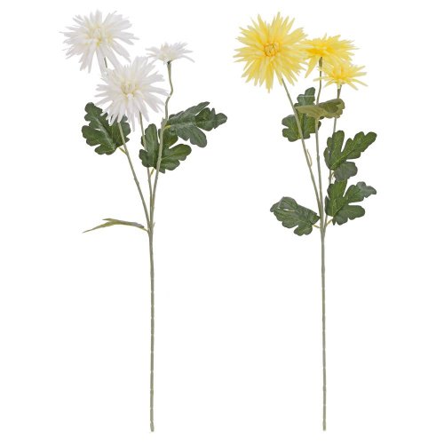 Ks chryzantéma mix/2f 75cm