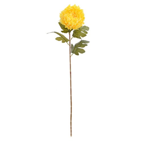 Ks chryzantéma žltá 75cm