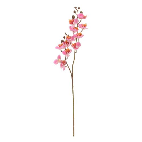 Ks orchidea phalaenopsis - Umelé kvety