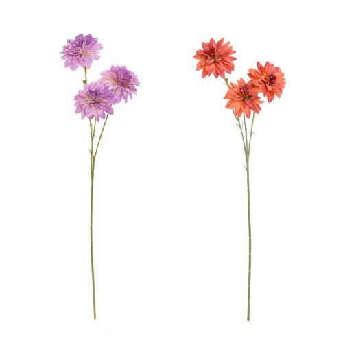 Ks chryzantéma mix/2f 68cm