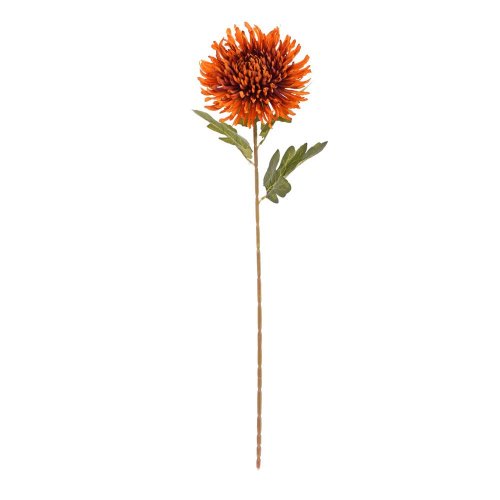 Ks chryzantéma oranžovo-hnedá 70cm