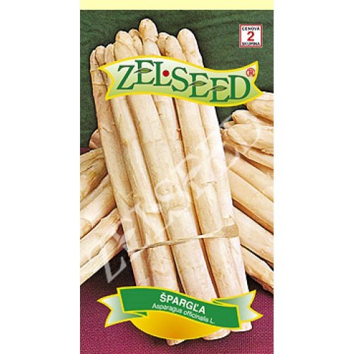 Špargľa biela argentuil 1g