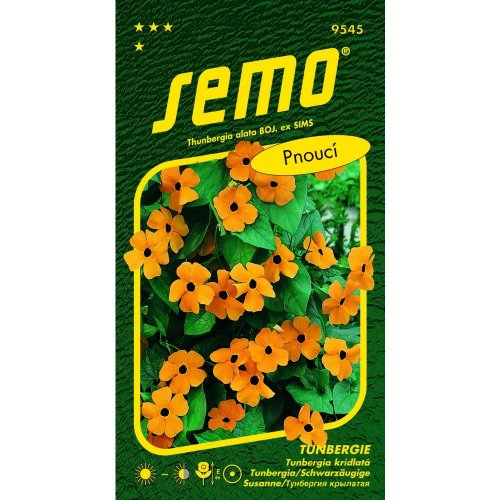 Tunbergia oranž 1g