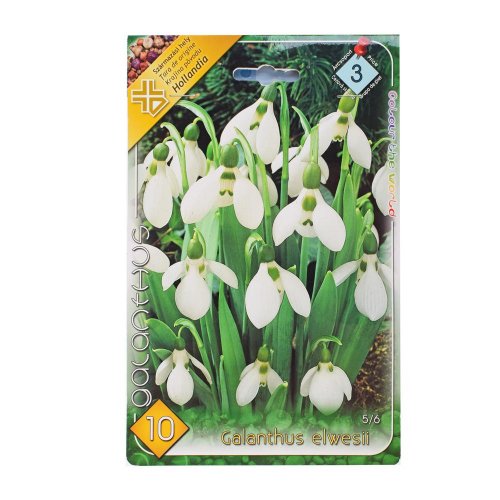 Galanthus - Umelé kvety