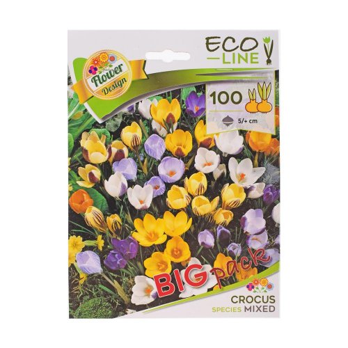 Large: species crocus mixed 100ks - Umelé kvety