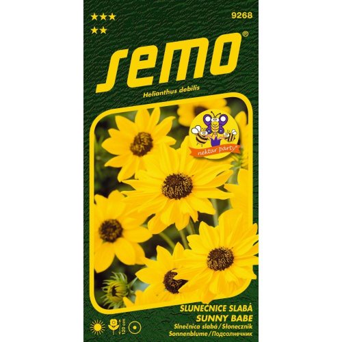 Slnečnica slabá sunny babe