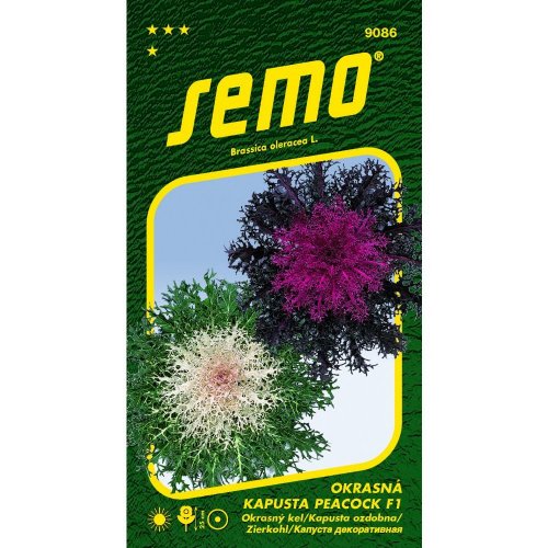 Kel okrasný peacock f1 mix 20s