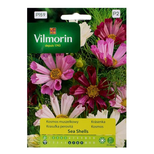 Krasuľka sea shells 0,2g