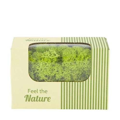 Moss reindeer jarná zelená 50gr nature 14x8x10cm