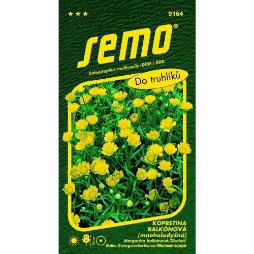 Margarétka balkónová zlatovláska 0,3g