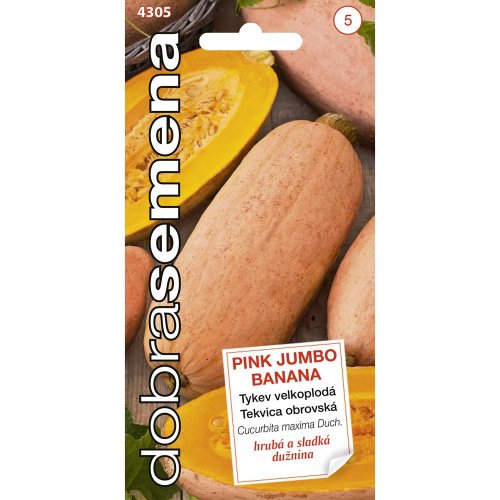 Tekvica obr.pink jumbo banana 7s