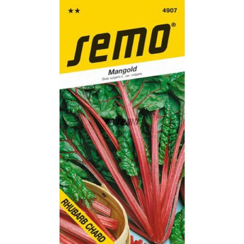 Mangold rhubarb chard 4g