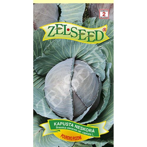 Kapusta pourovo pozdní 0,8g