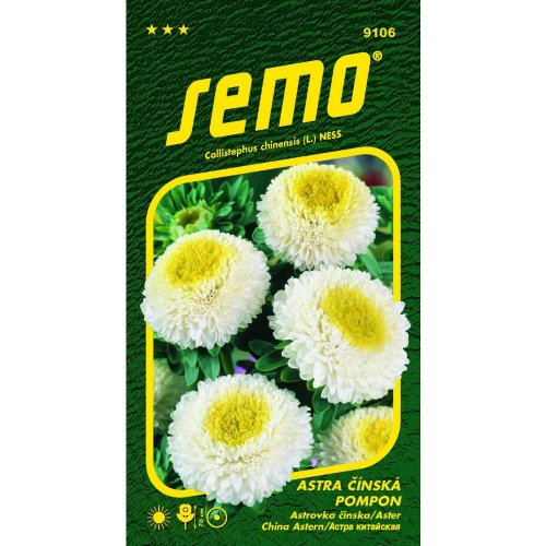 Astrovka čínska pompon white and yellow 0,5g