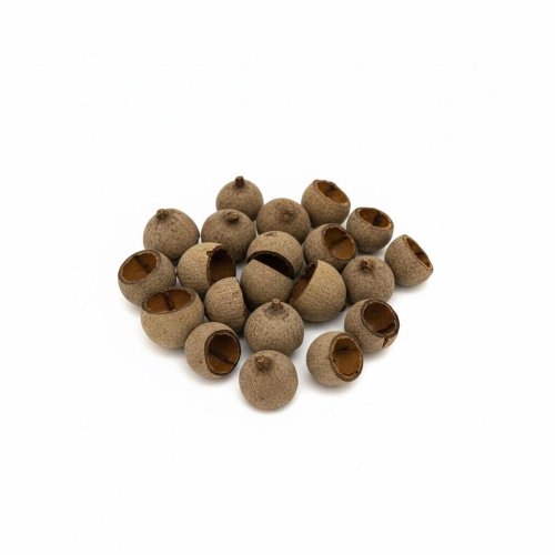 824 gaurri cup mix 24ks natur