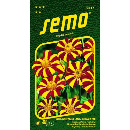 Aksamietnica rozl mr.majestic 50s