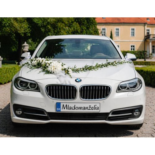 Svadobná ŠPZ, rôzne motívy