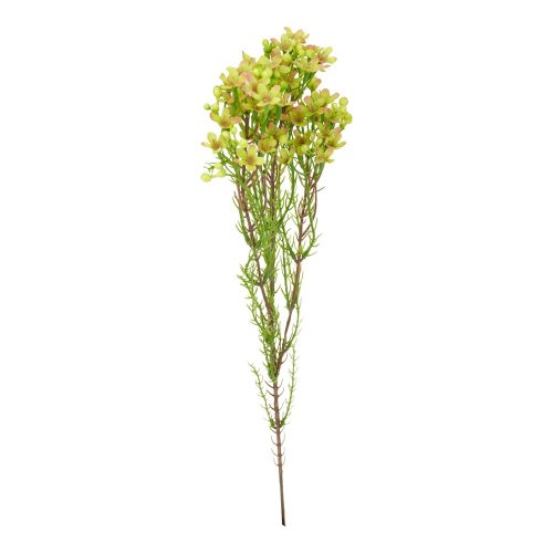 Waxflower 80x15x12cm žtý