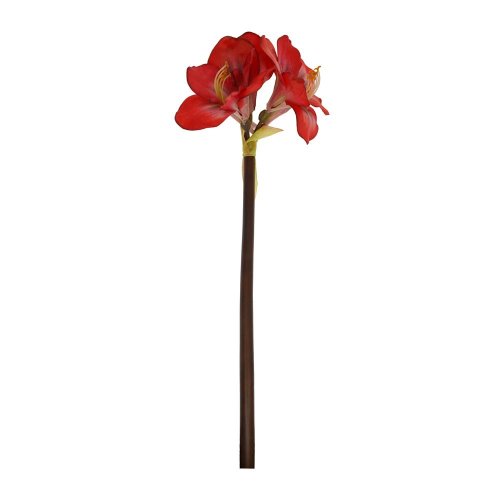 Amarylis 83cm červený