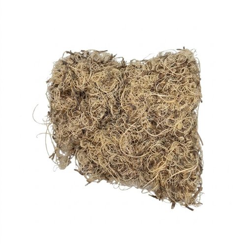 3797 curly moss bielený 250g