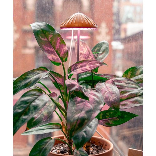 Lampa na rastliny - Umelé kvety
