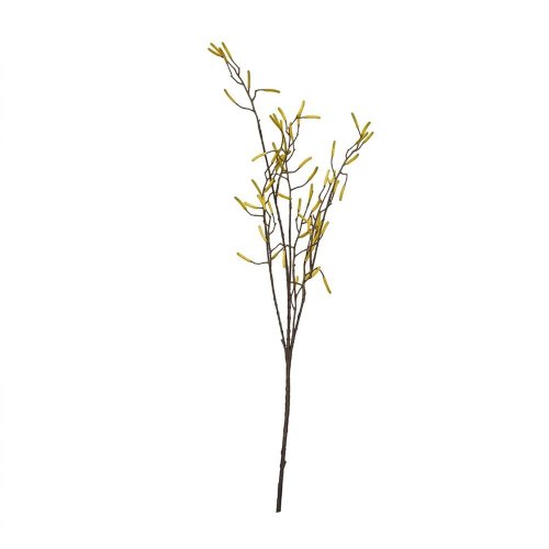 Konár breza, žlté plody 125cm