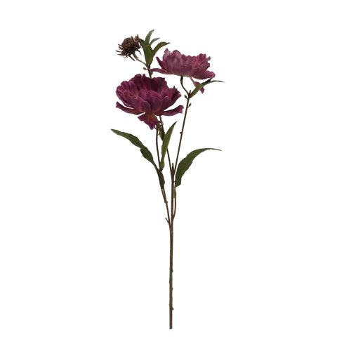 Ks papaver ružovo-fialový 76cm