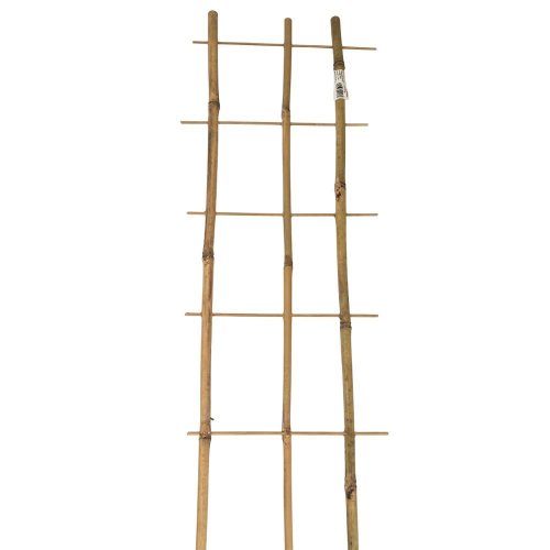 Podpora bambus 60/3
