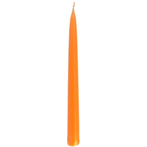 Kónická špic oranž. - Vianočné stromčeky
