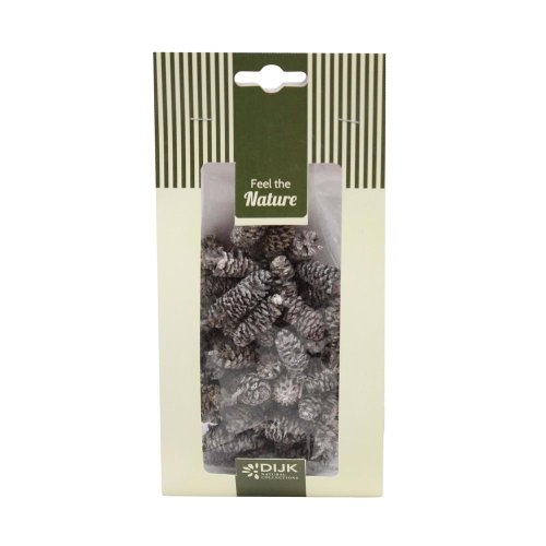 Pinecone birch nature 10x5x22cm 50gr