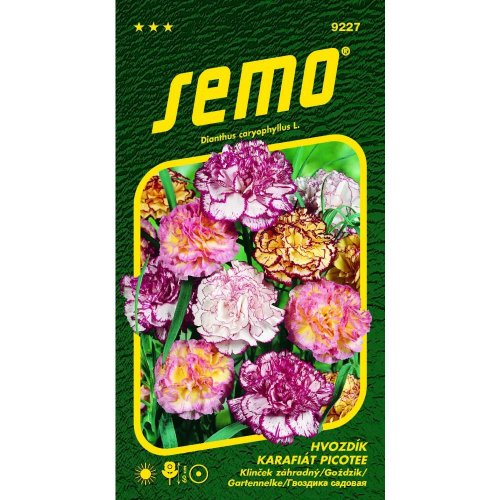 Klinček záhradný picotee 0,25g - Umelé kvety