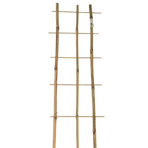 Podpora bambus 75/3