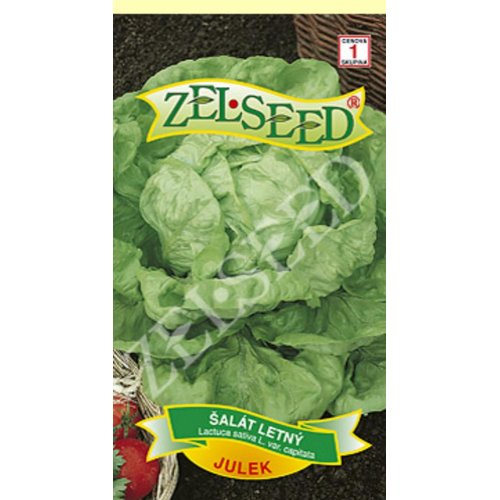Šalát letný julek 0,70g - Umelé kvety