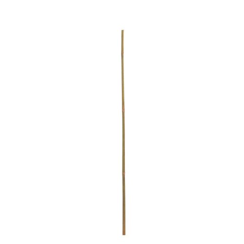 Bambus tyč 210cm - Vianočné stromčeky
