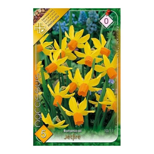 Narcis jetfire 5ks - Umelé kvety
