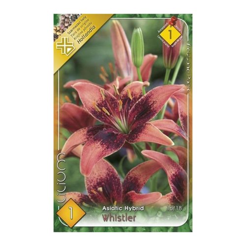Ľalia whistler 1ks - Umelé kvety