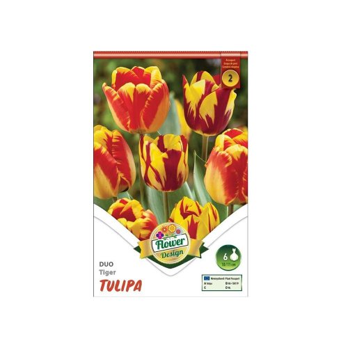 Tulipán duo tiger 6ks - Umelé kvety