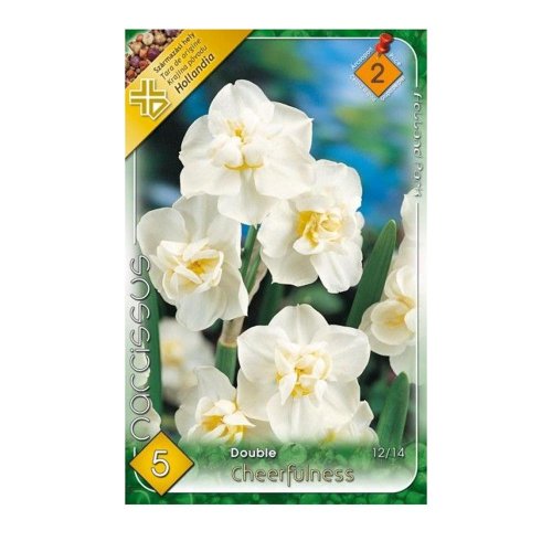 Narcis cheerfulness 5ks - Umelé kvety