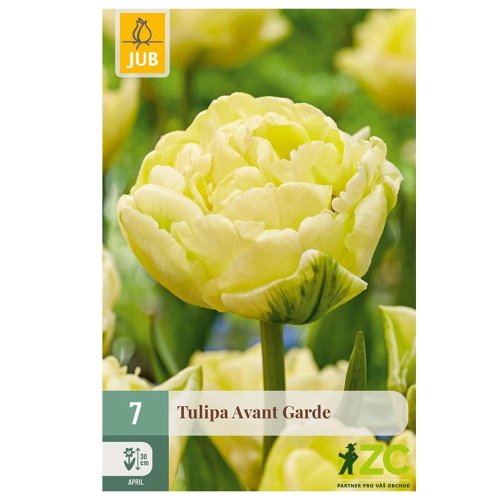 Tulipán avant garde 7ks - Vianočné dekorácie