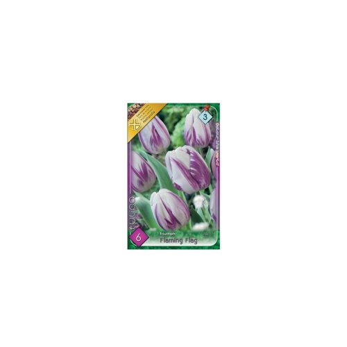 Tulipán flaming flag 6ks - Veľkonočné ozdoby