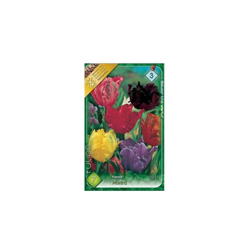 Tulipán parrot mix 7ks - Veľkonočné ozdoby
