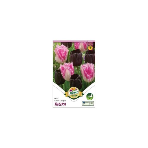 Tulipán triumph purple 6ks - Umelé kvety