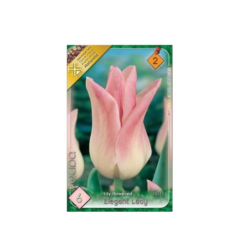 Tulipán elegant lady 6ks - Veľkonočné ozdoby