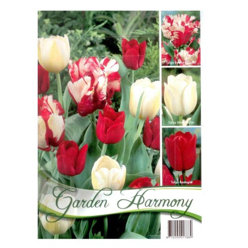 Kolekcia red-white tulips 15ks
