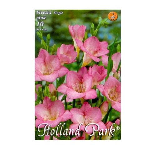 Freesia pink 10ks - Umelé kvety