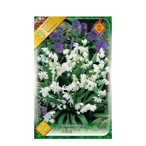 Scilla siberica alba 10ks - Umelé kvety