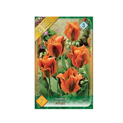 Tulipán artist 7ks - Veľkonočné ozdoby