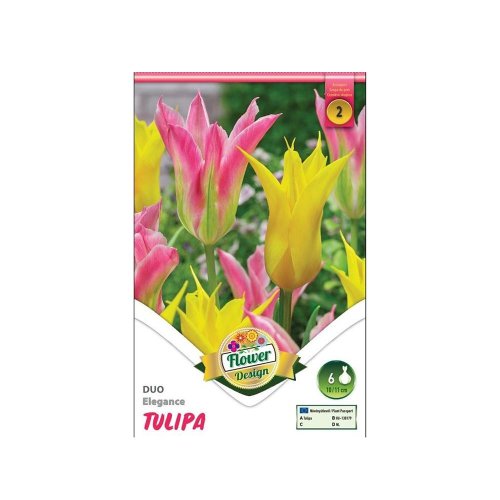 Tulipán duo elegance 6ks - Umelé kvety