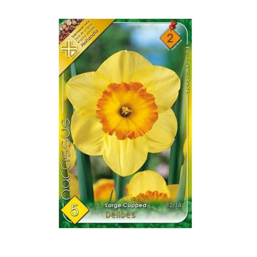 Narcis delibes 5ks - Umelé kvety