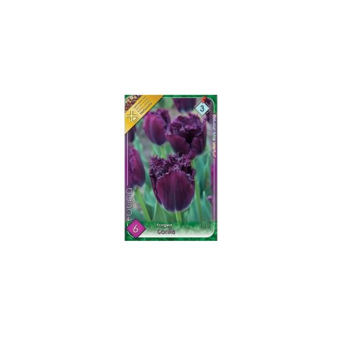 Tulipán gorilla 6ks - Veľkonočné ozdoby